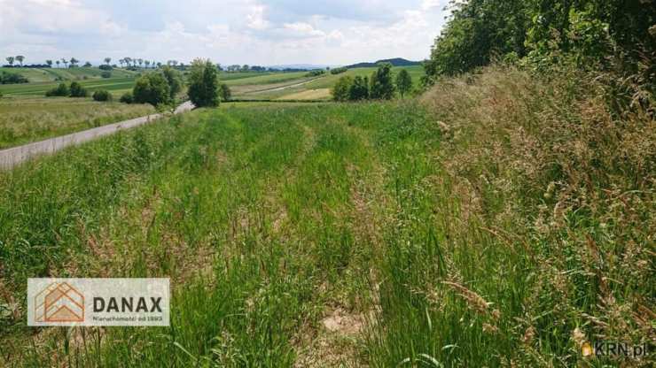 Działki  na sprzedaż, Czułówek, ul. , 