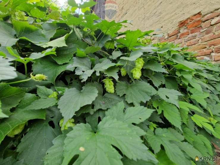 , Jakubowice, ul. , Działki  na sprzedaż