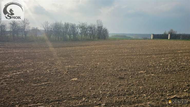 Mogilany, Celiny, ul. , Działki  na sprzedaż, 