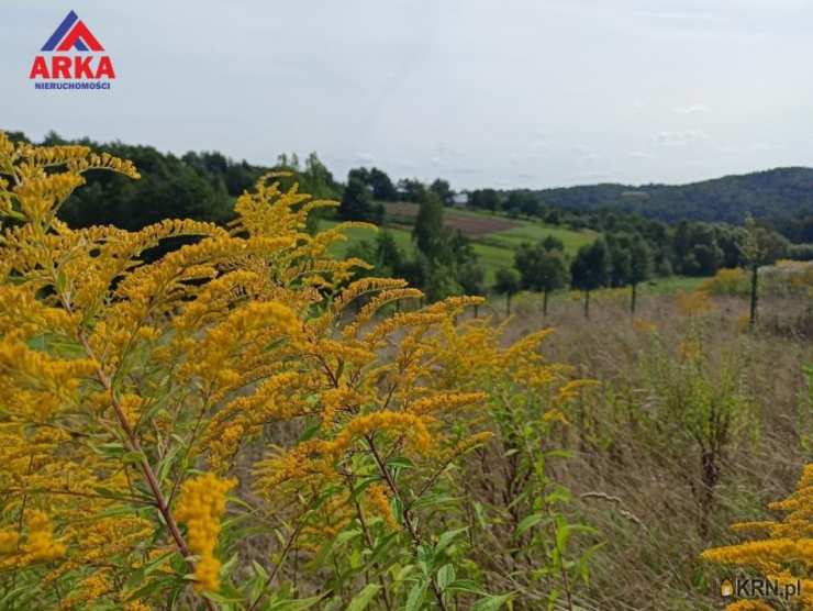 Działki  na sprzedaż, Raciechowice, ul. , 
