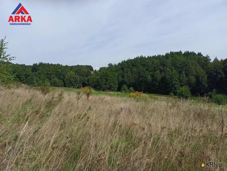 Raciechowice, ul. , , Działki  na sprzedaż