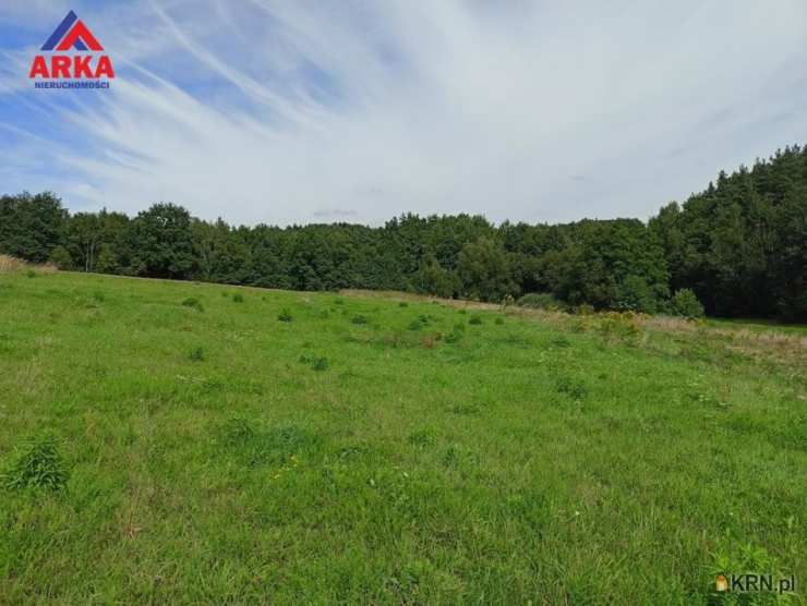 Działki  na sprzedaż, Raciechowice, ul. , 