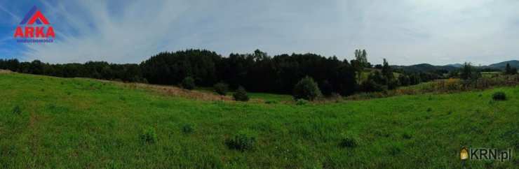 Raciechowice, ul. , Działki  na sprzedaż, 