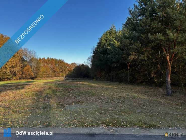 Działki  na sprzedaż, Rydzów, ul. , 