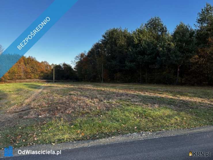 Rydzów, ul. , Działki  na sprzedaż, 