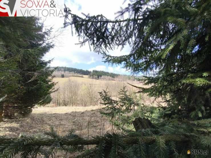 Działki  na sprzedaż, Walim, ul. , 