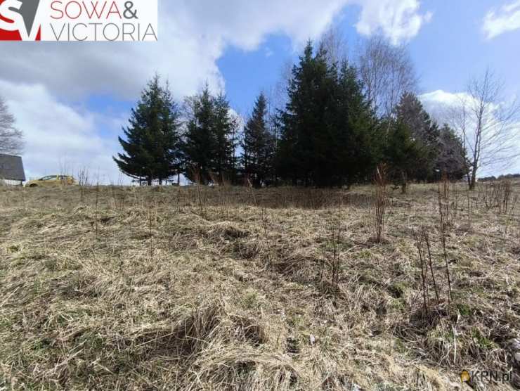 , Działki  na sprzedaż, Walim, ul. 