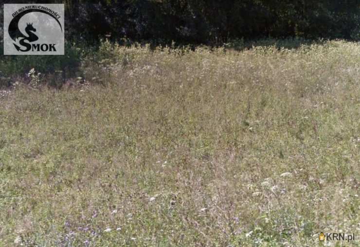 Działki  na sprzedaż, Zarzyce Małe, ul. , 