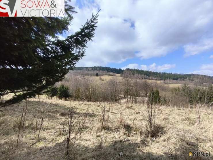 Działki  na sprzedaż, , Walim, ul. 