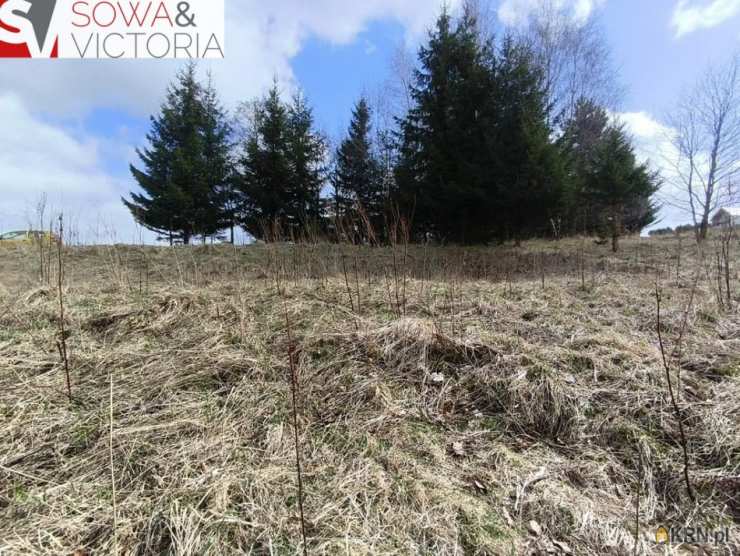 Biuro Nieruchomości SOWA, Działki  na sprzedaż, Walim, ul. 