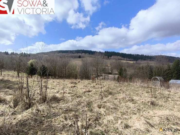 Działki  na sprzedaż, Walim, ul. , 