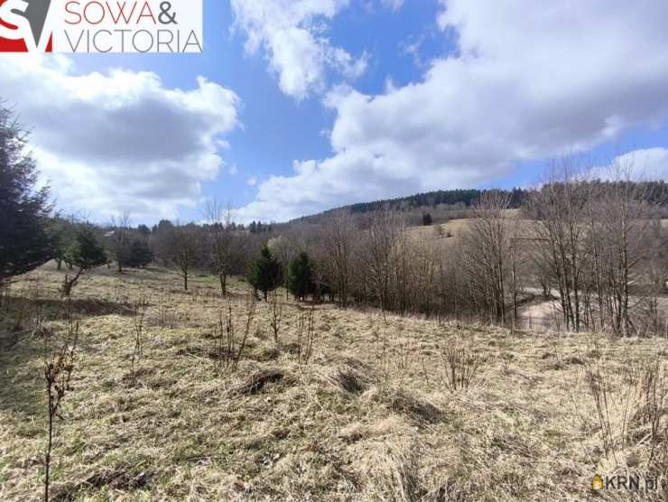 Działki  na sprzedaż, , Walim, ul. 