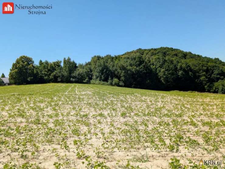 Działki  na sprzedaż, Dobranowice, ul. , 