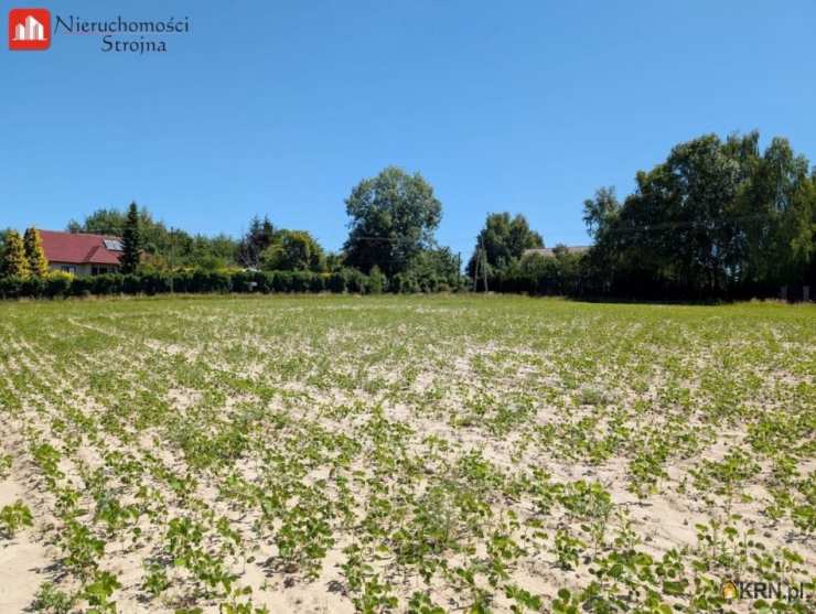 Nieruchomości Strojna, Działki  na sprzedaż, Dobranowice, ul. 