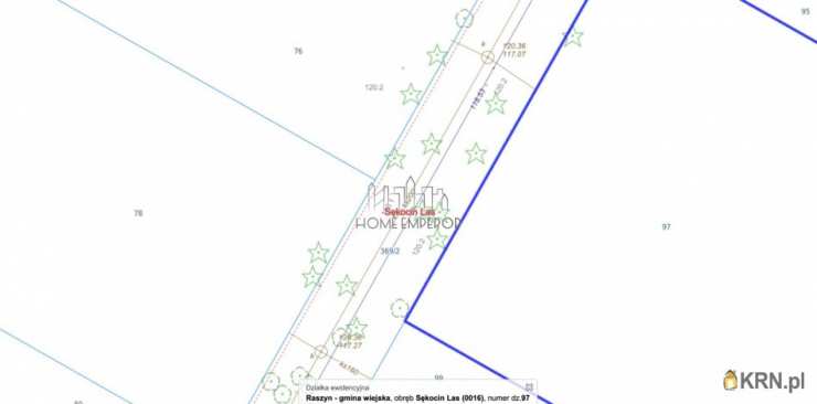 Działki  na sprzedaż, , Sękocin Las, ul. Rydza
