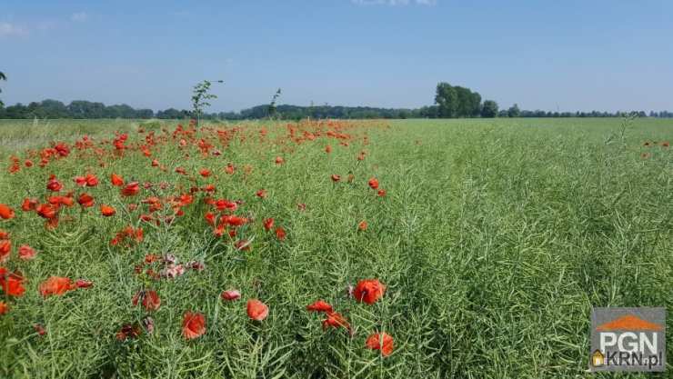 Działki  na sprzedaż, Trzebiatów, ul. , 