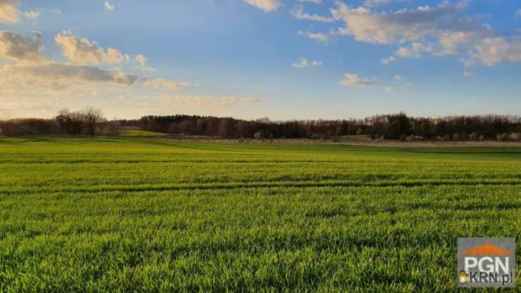 , Działki  na sprzedaż, Trzebiatów, ul. 