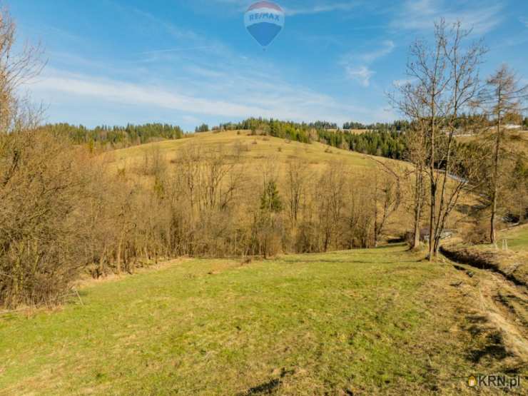 Działki  na sprzedaż, Czarna Góra, ul. , 