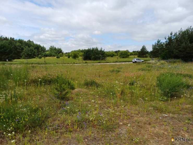 Działki  na sprzedaż, Trzcińsk, ul. , 