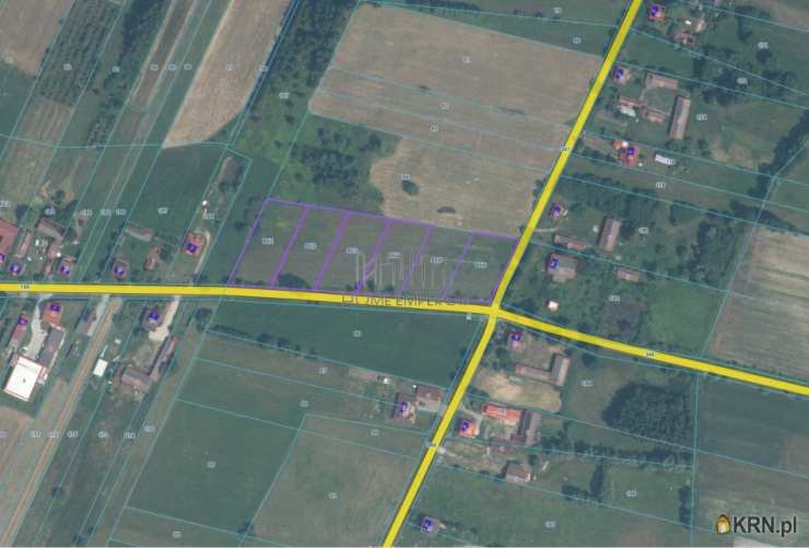 Grabowska Wola, ul. , Działki  na sprzedaż, 