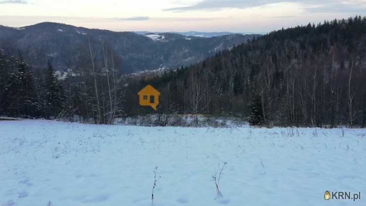 Ochotnica Dolna, ul. , Działki  na sprzedaż, 