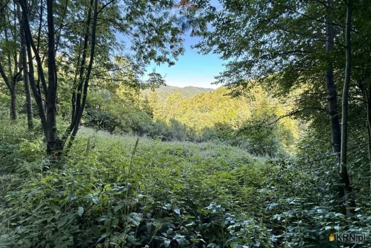 RE/MAX Polska, Działki  na sprzedaż, Tylmanowa, ul. 