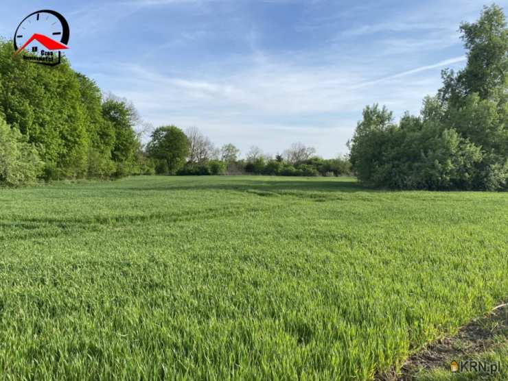 Działki  na sprzedaż, Rucewo, ul. , 