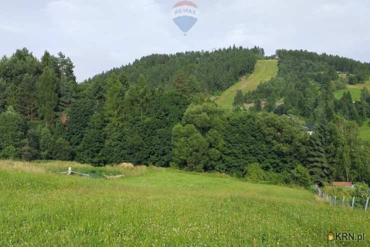 RE/MAX Polska, Działki  na sprzedaż, Kluszkowce, ul. 