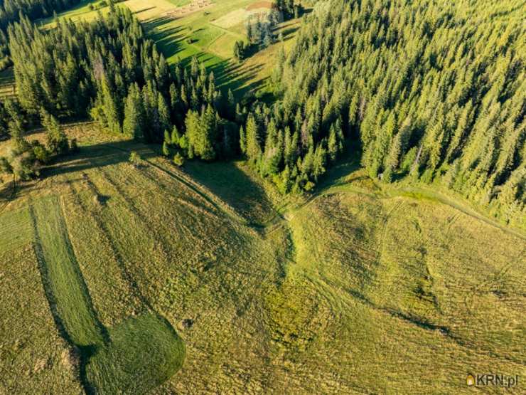 Działki  na sprzedaż, , Zakopane, ul. 