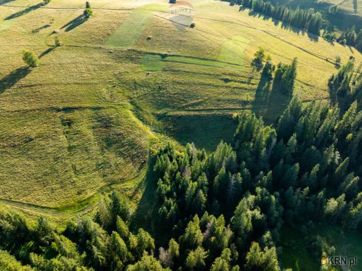 Działki  na sprzedaż, , Zakopane, ul. 