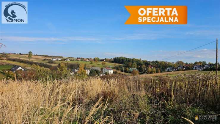 Działki  na sprzedaż, Cianowice Duże, ul. , 