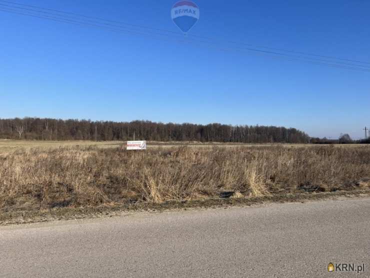 Dąbrówka Zabłotnia, ul. , Działki  na sprzedaż, 