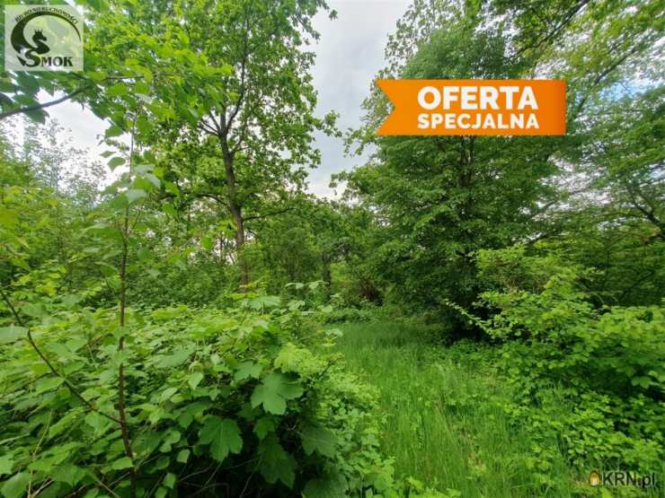 Działki  na sprzedaż, Dział, ul. , 