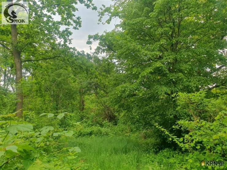 Działki  na sprzedaż, , Dział, ul. 