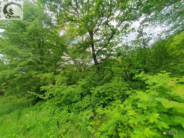 Dział, ul. , Działki  na sprzedaż, 