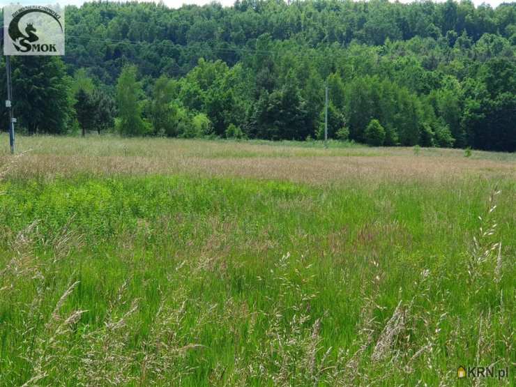 Działki  na sprzedaż, , Izdebnik, ul. 