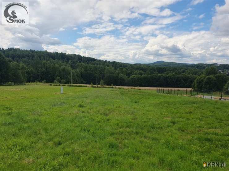 Działki  na sprzedaż, Izdebnik, ul. , 