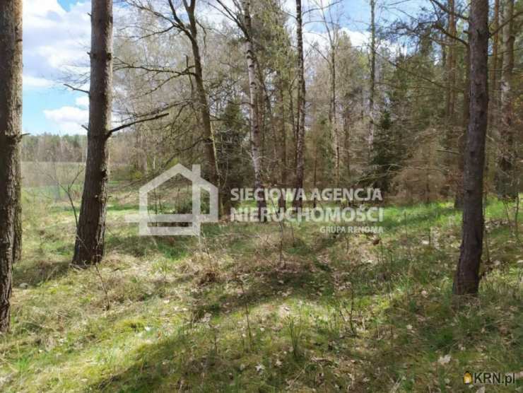 Sieciowa Agencja Nieruchomości Grupa Renoma, Działki  na sprzedaż, Jałowiec, ul. 