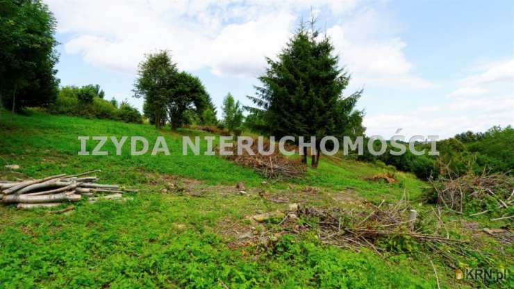 Działki  na sprzedaż, Niedźwiedzica, ul. , 