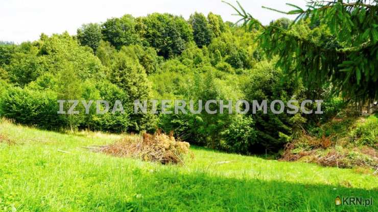 , Działki  na sprzedaż, Niedźwiedzica, ul. 