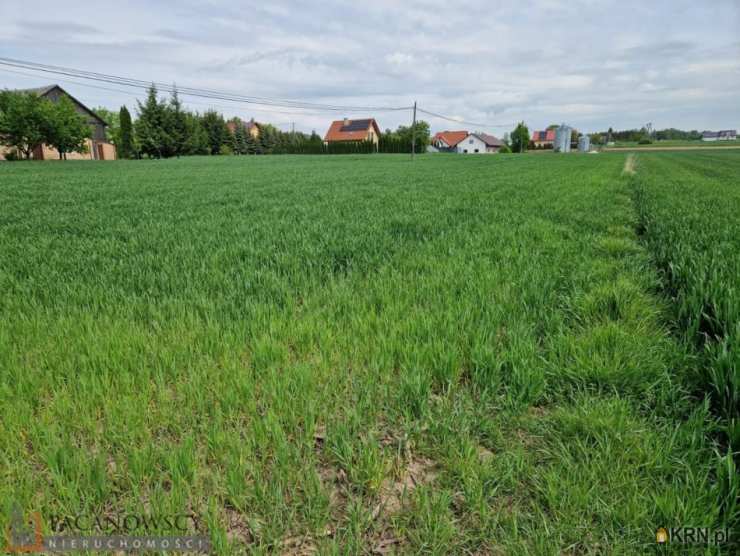 Działki  na sprzedaż, Sieciechowice, ul. , 