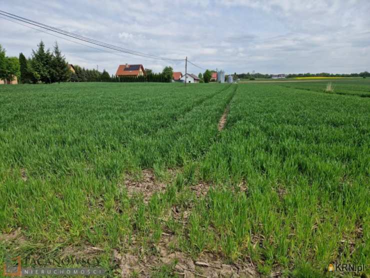 Działki  na sprzedaż, , Sieciechowice, ul. 