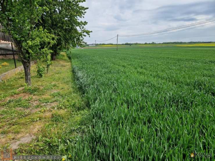 Sieciechowice, ul. , Działki  na sprzedaż, 