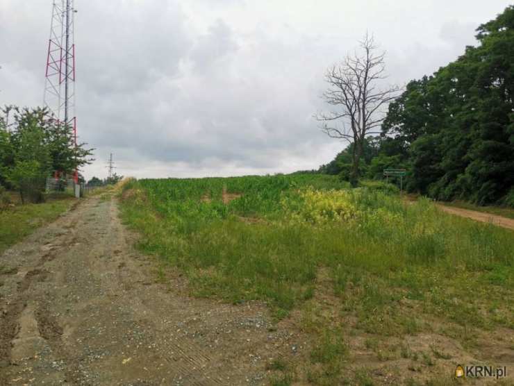 Wysoki Kościół, ul. , , Działki  na sprzedaż