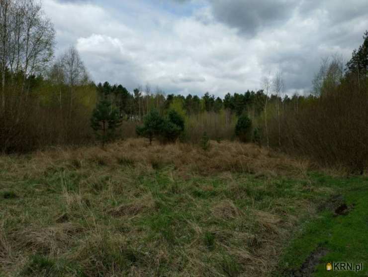 Działki  na sprzedaż, Żytno, ul. , 