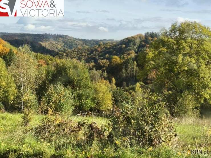 Działki  na sprzedaż, Niedźwiedzica, ul. , 