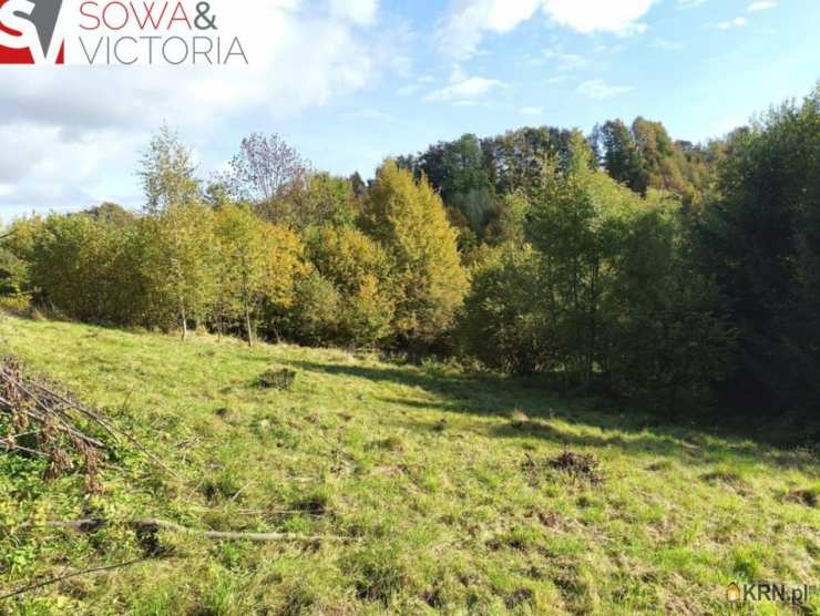 Niedźwiedzica, ul. , , Działki  na sprzedaż