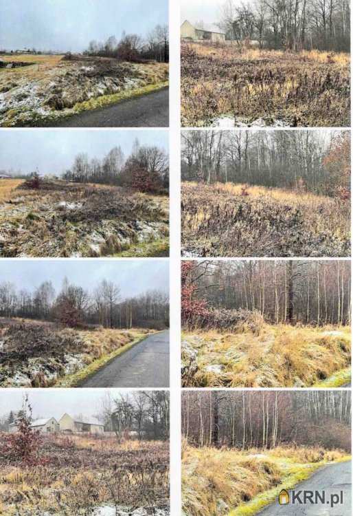 Działki  na sprzedaż, Olszowice, ul. , 