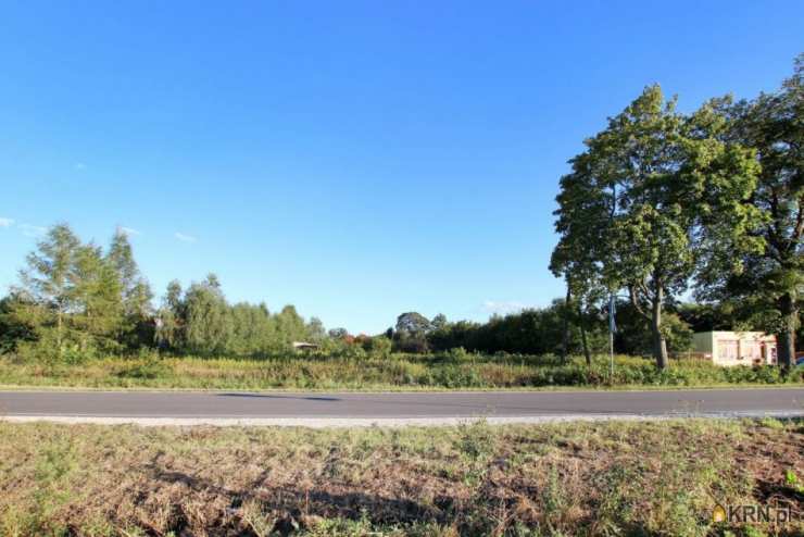 , Działki  na sprzedaż, Zamek Bierzgłowski, ul. Przedzamcze