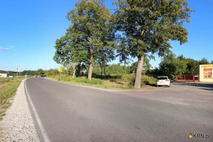 Działki  na sprzedaż, , Zamek Bierzgłowski, ul. Przedzamcze